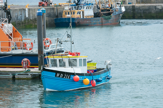 Kilmore Quay 2018 (006)